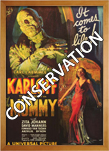 Movie Poster Frames Conservation